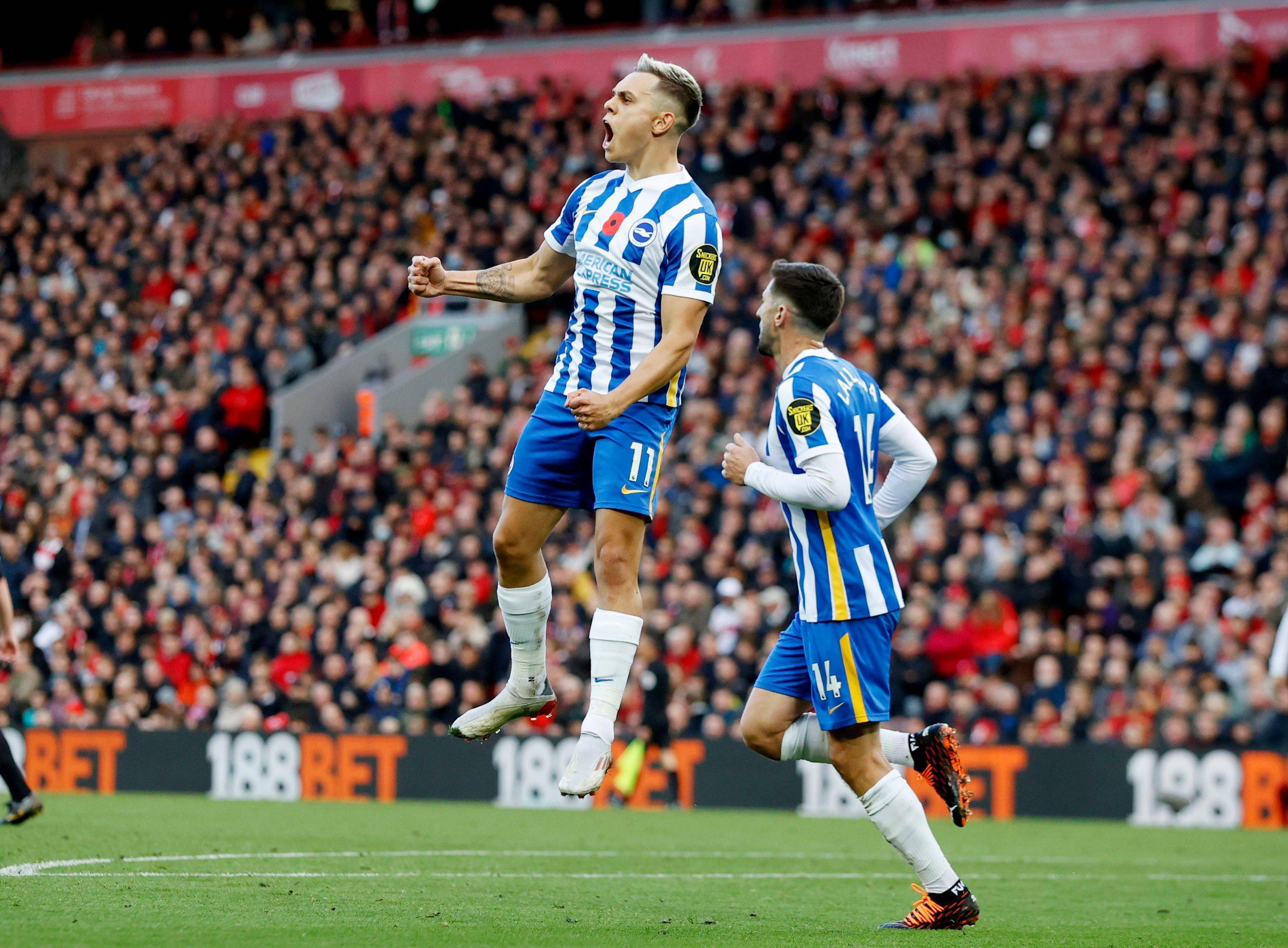 亚历山大惊 亚历山大惊