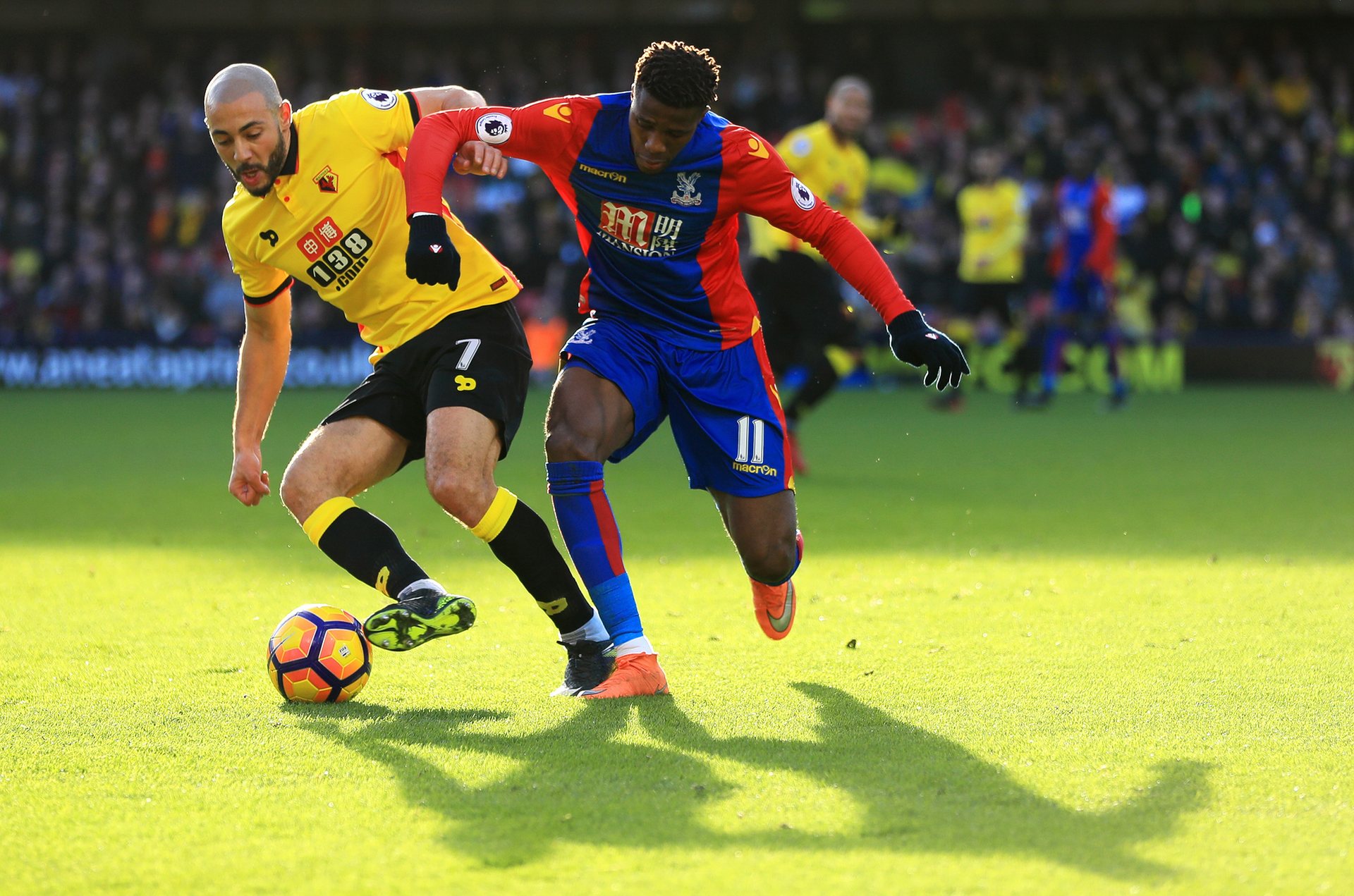 陈幸同在本 陈幸同在本